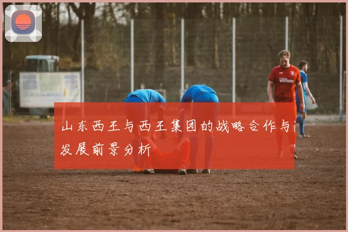 山东西王与西王集团的战略合作与发展前景分析