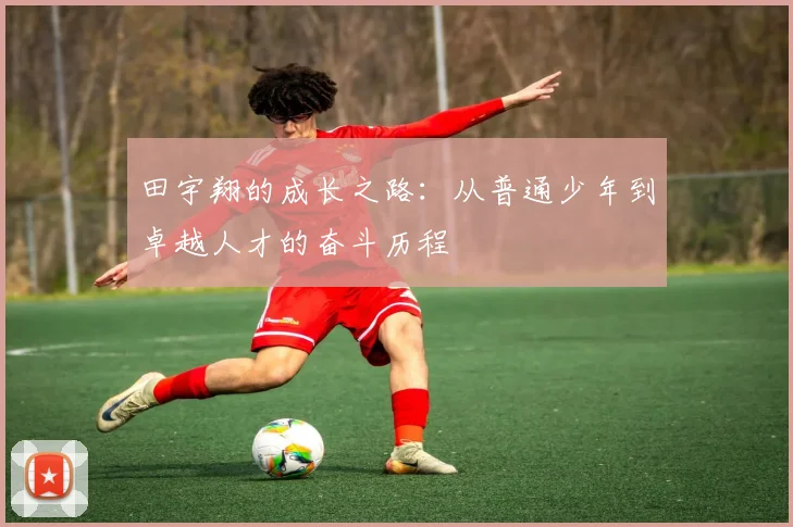 田宇翔的成长之路：从普通少年到卓越人才的奋斗历程