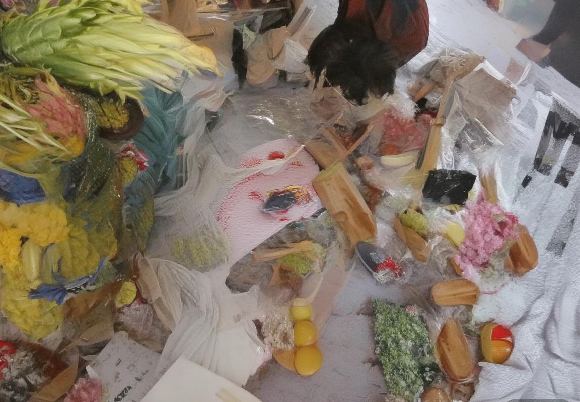 格瓦迪奥尔：足球新星崛起之路与未来展望